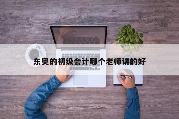 东奥的初级会计哪个老师讲的好