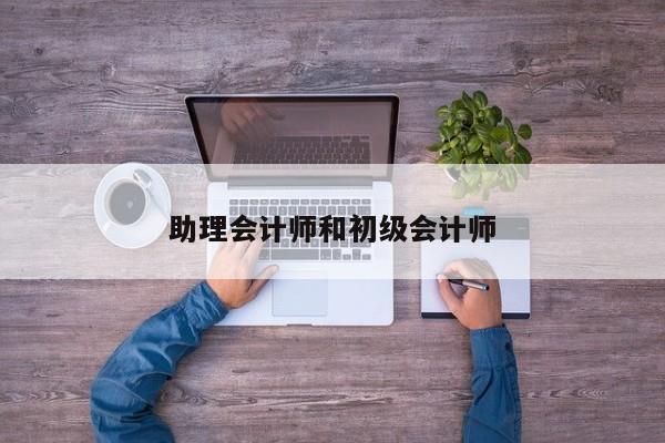 助理会计师和初级会计师