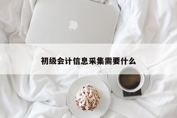 初级会计信息采集需要什么